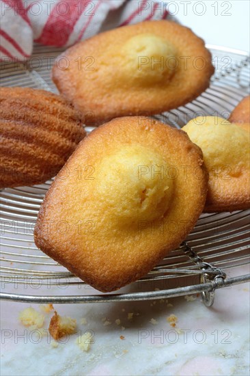 Madeleines on cake grid