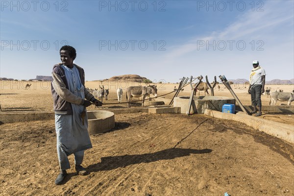 Young man pulling water out of a water hole