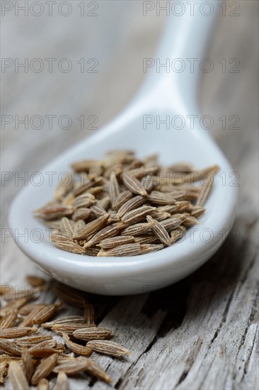 Cumin