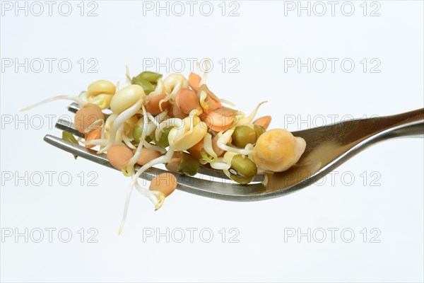 Mixed sprouts of lentils