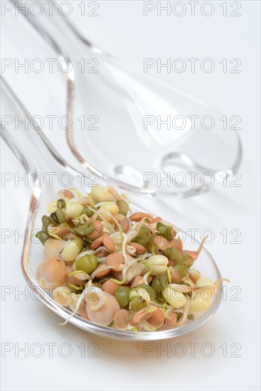 Mixed sprouts of lentils