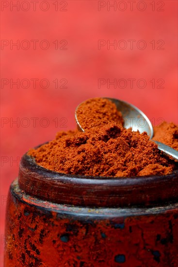 Paprika powder in spoon