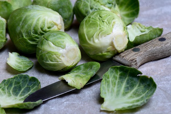 Brussels sprouts with kitchen knife
