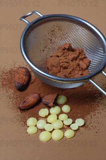 Cocoa powder in sieve and cocoa beans