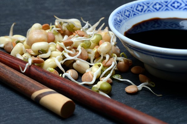 Mixed sprouts of lentils