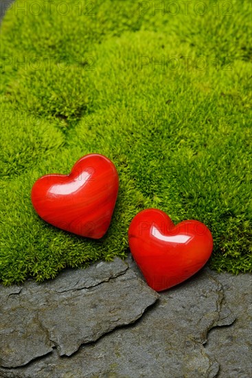 Hearts on moss cushion