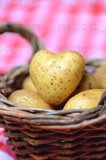 Boiled potato in basket