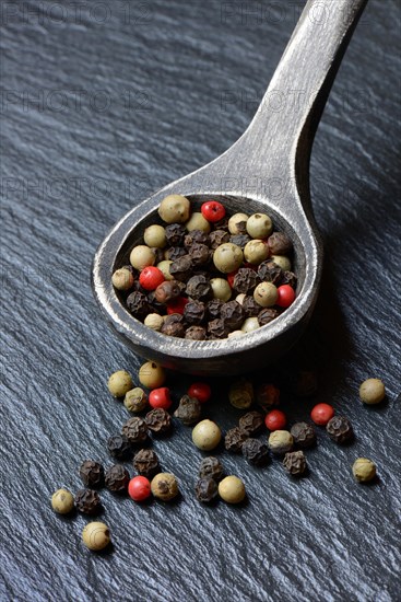 Peppercorns in wooden spoon