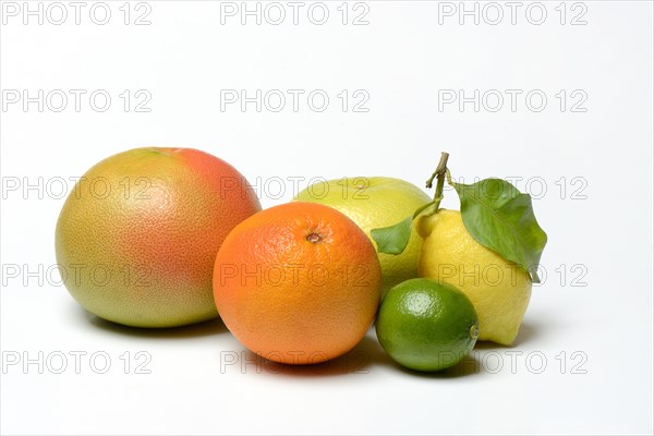 Various citrus fruits