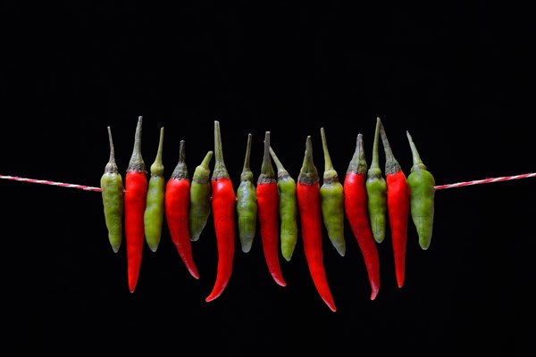 Peppers