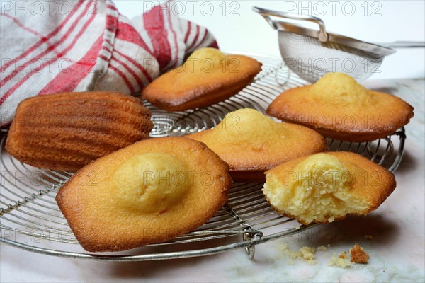 Madeleines on cake grid