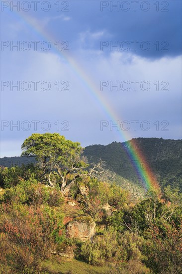 Typical landscape in the Sierra de Andujar National Park