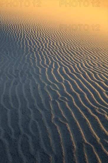 Mesquite Flats Sand Dunes