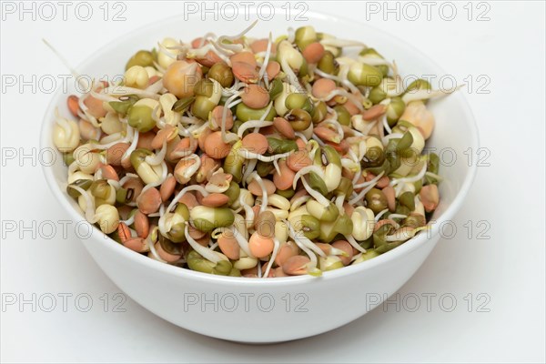 Mixed sprouts of lentils