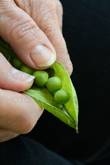 Opening a Peaspod