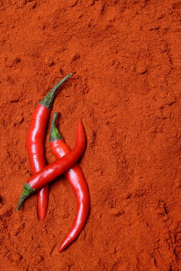 Red chilli peppers in chilli powder