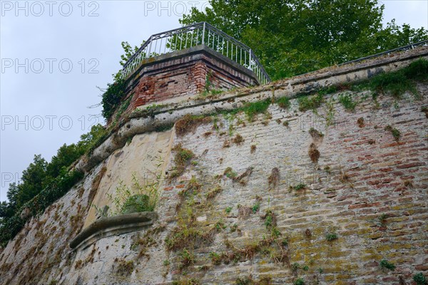 Adlerbastei