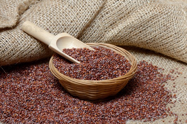 Red Quinoa