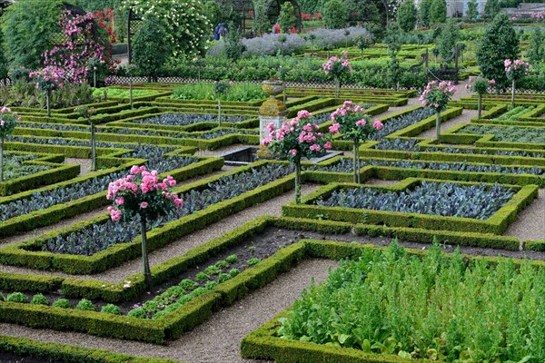 Vegetable garden of Villandry Castle