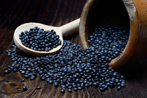 Black lentils