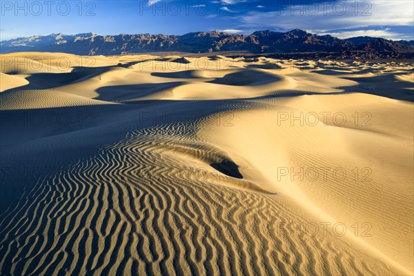 Mesquite Flats Sand Dunes