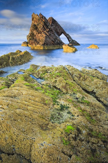 Bow Fiddle Rock