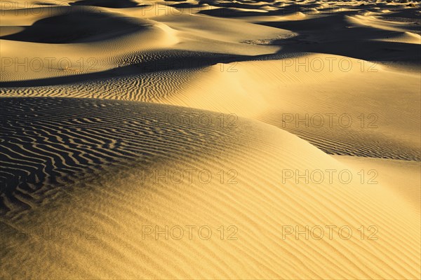 Mesquite Flats Sand Dunes