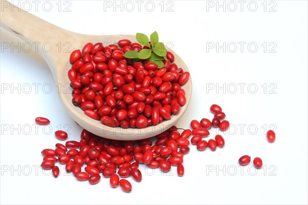 Barberry berries