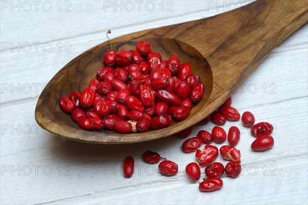 Dried barberry berries