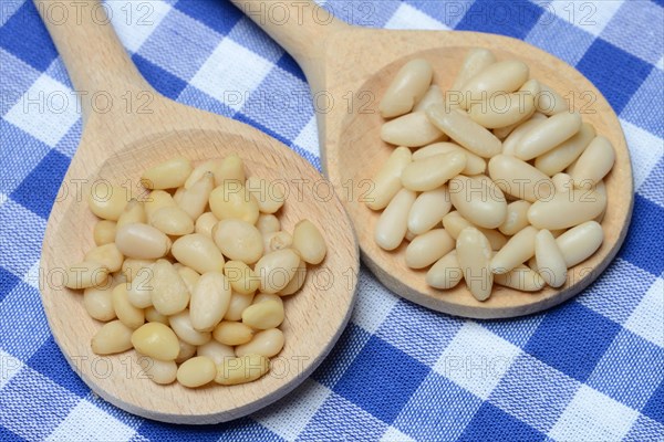 Cedar and pine nuts