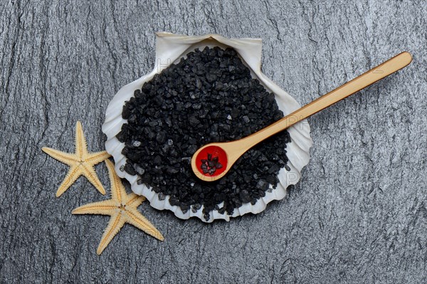 Black Hawaiian salt in shell with spoon