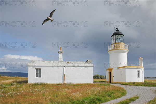 Lighthouse at Chanonry Point