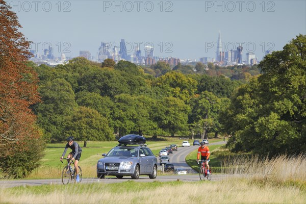 Heavy visitor traffic in Richmond Park