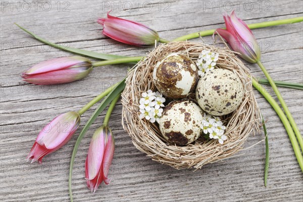 Natural Easter Decoration