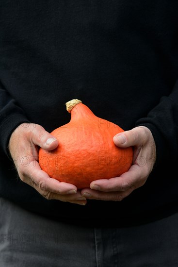 Pumpkin in hands