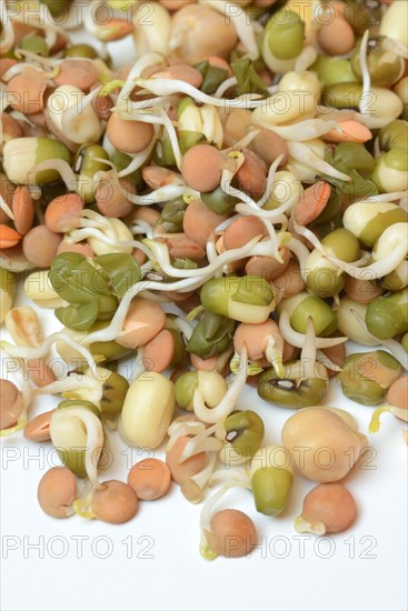 Mixed sprouts of lentils