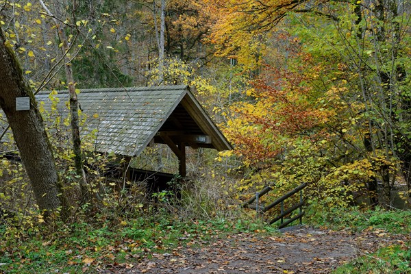 Wutach Gorge