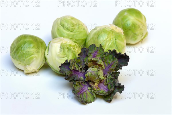 Flower Sprouts and Brussels sprouts