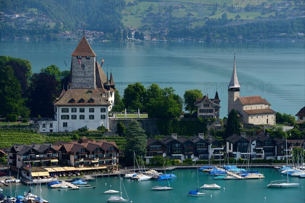 Spiez Castle