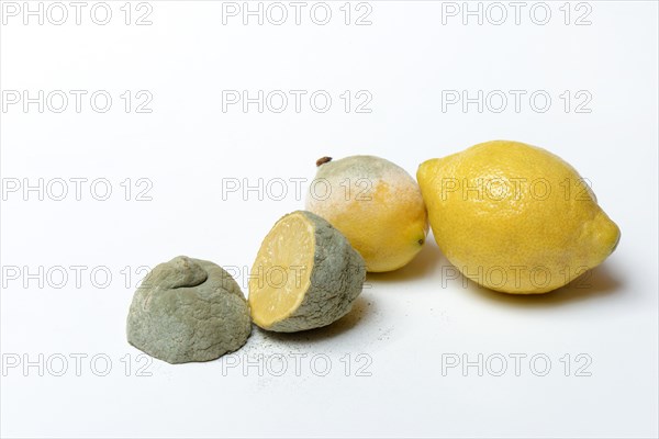 Moulded lemon