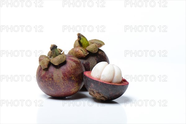 Crimson mangosteen