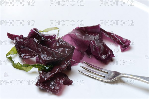Red alga with sea salt and fork