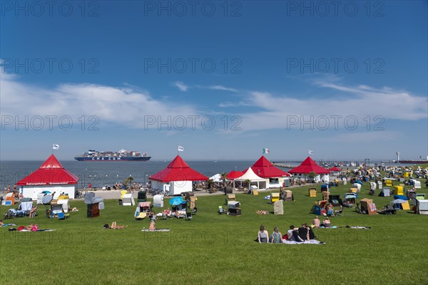 Green beach with beach chairs