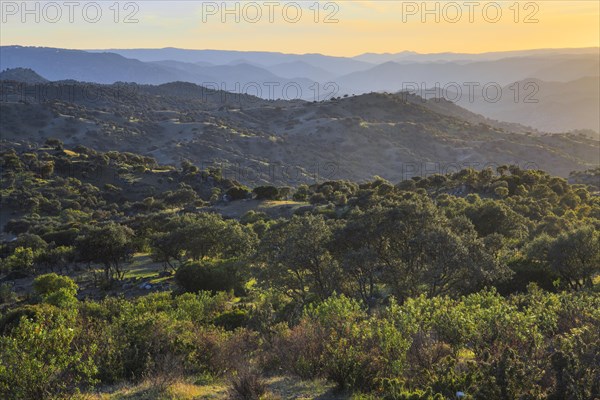 Typical landscape in the Sierra de Andujar National Park