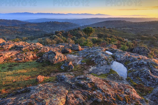 Typical landscape in the Sierra de Andujar National Park