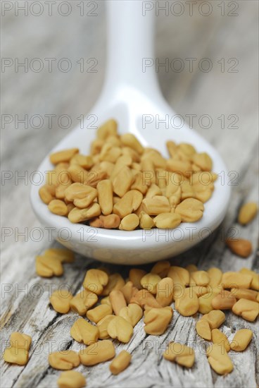 Fenugreek-Seeds