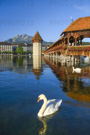 Chapel Bridge with Pilatus