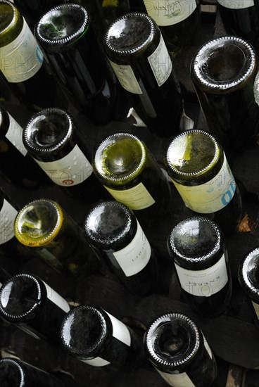 Wine bottles in rack