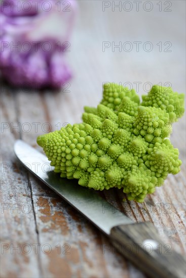 Different varieties Cauliflower