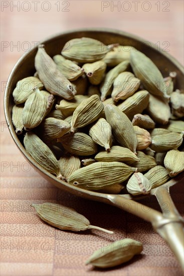 Cardamom